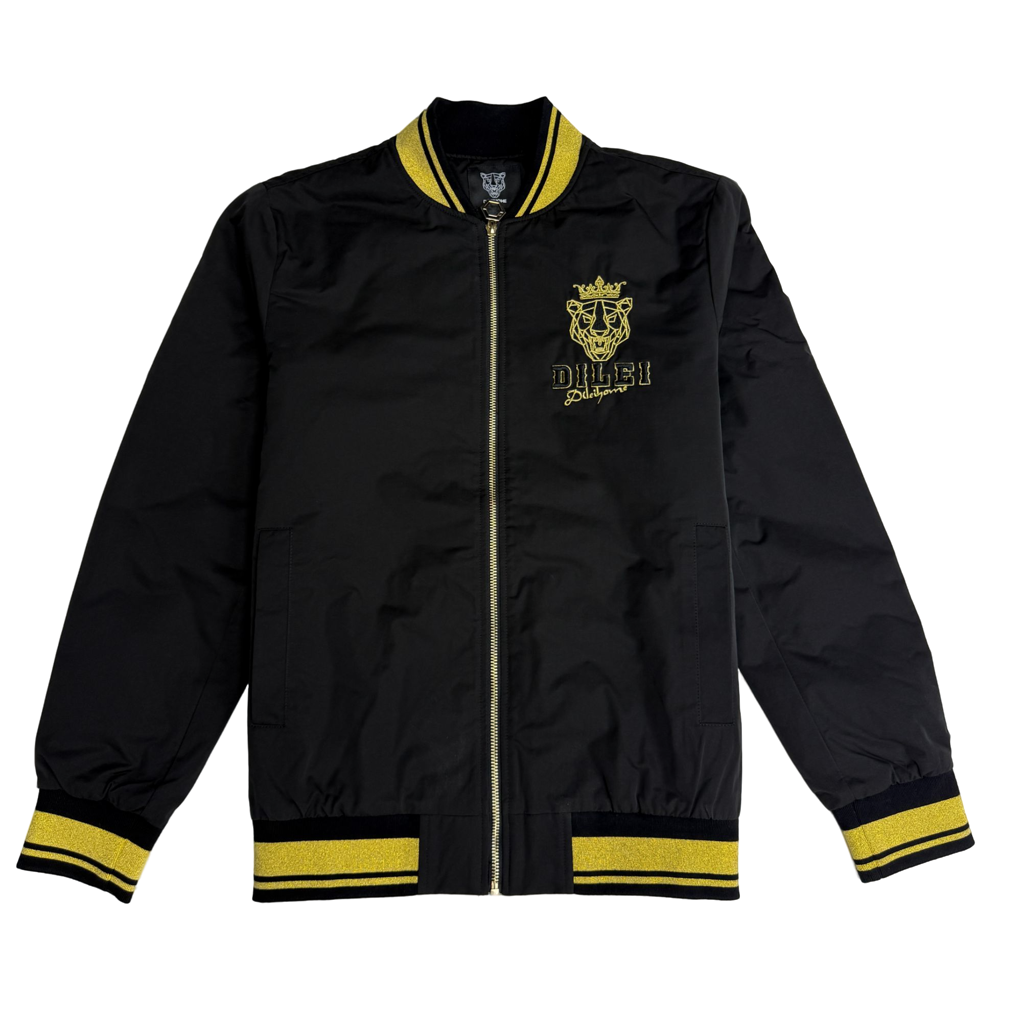 DILEI/帝垒10.2直播37号M204MF700201休闲男士夹克棉服外套冬季