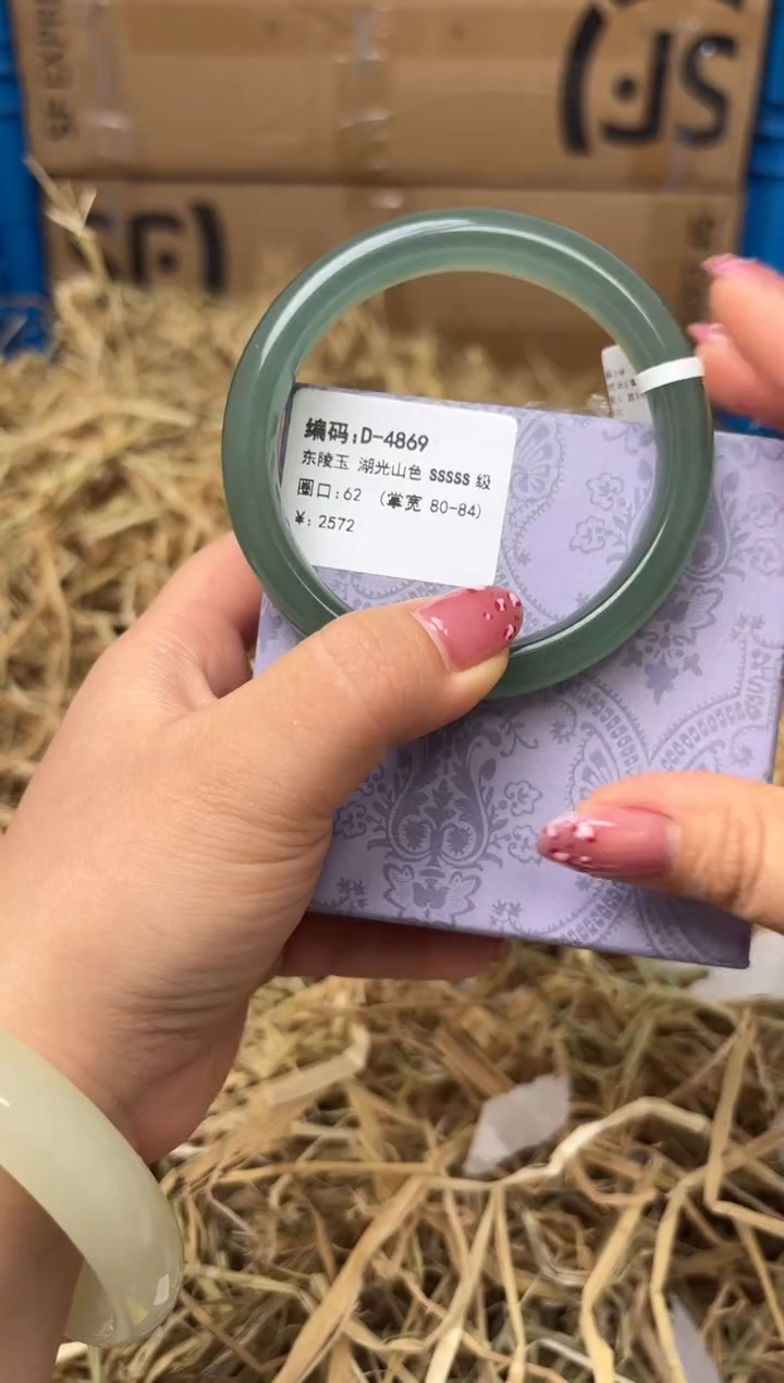 未镶嵌手镯石英质玉D-4869