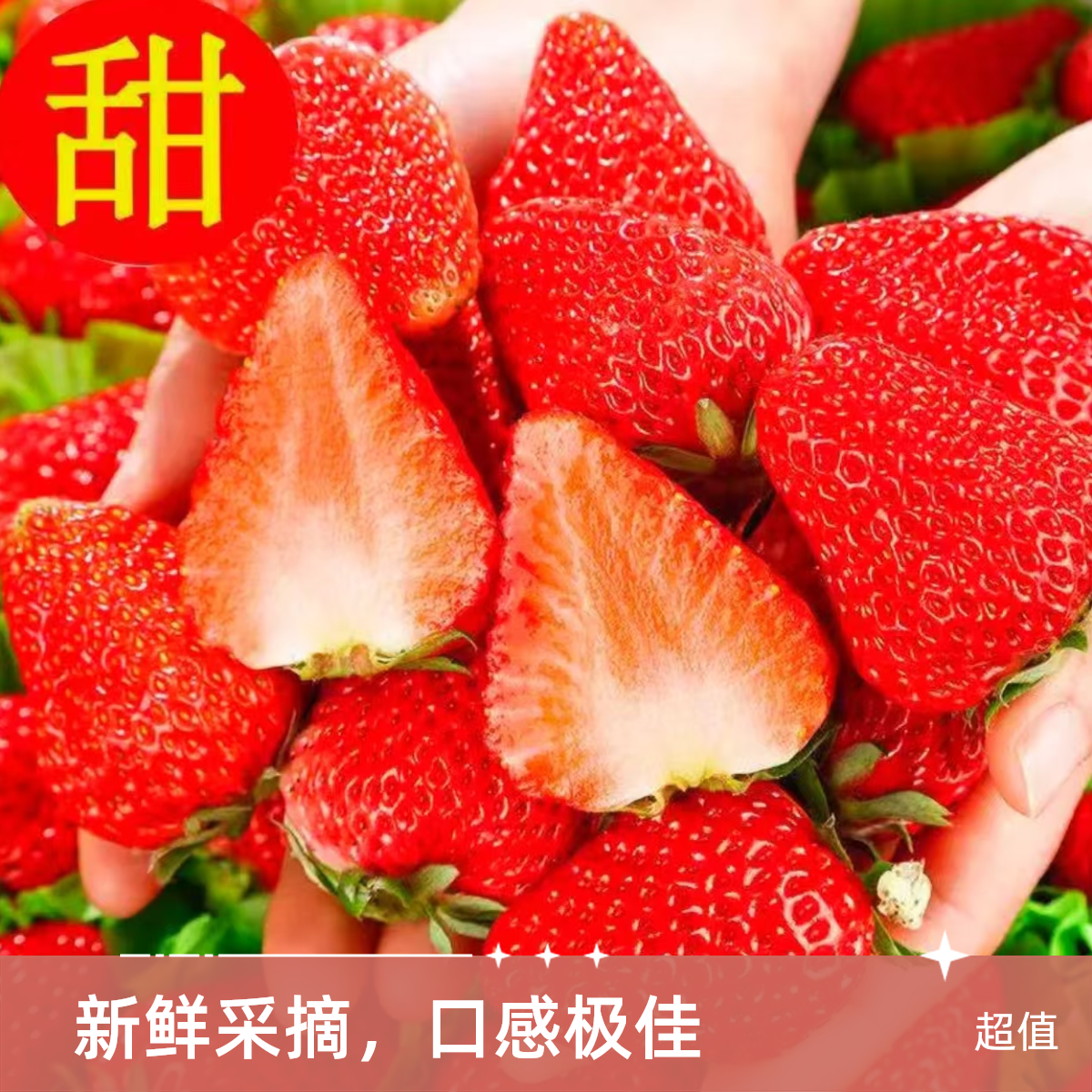 [牛奶草莓] 正宗奶油红颜奶油大草莓核心产区空运现摘现发香野