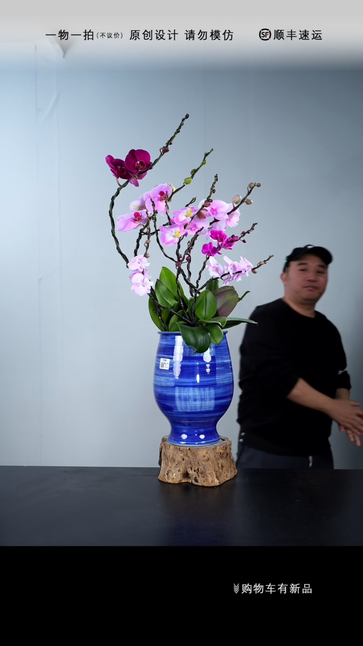 【闪购商品】048号链接【一物一拍】艺术盆景