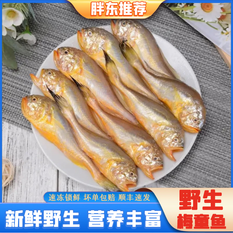 【胖东海鲜】梅童鱼梅子鱼大头宝野生 新鲜速冻直播16-20条/斤共4斤