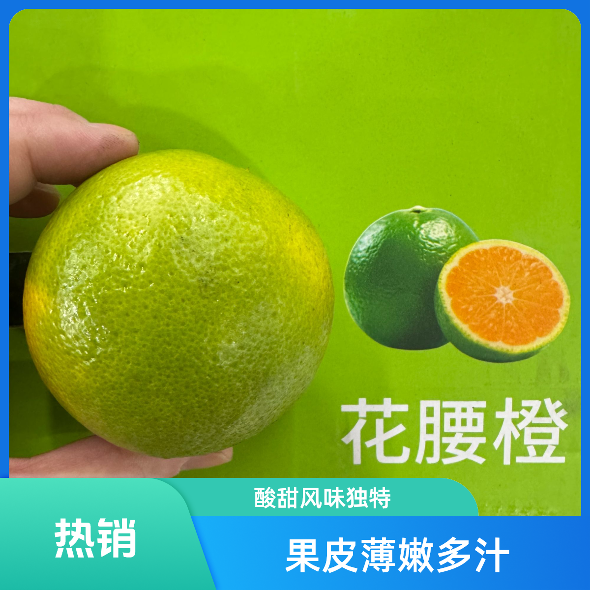 花腰橙一箱约2.5kg