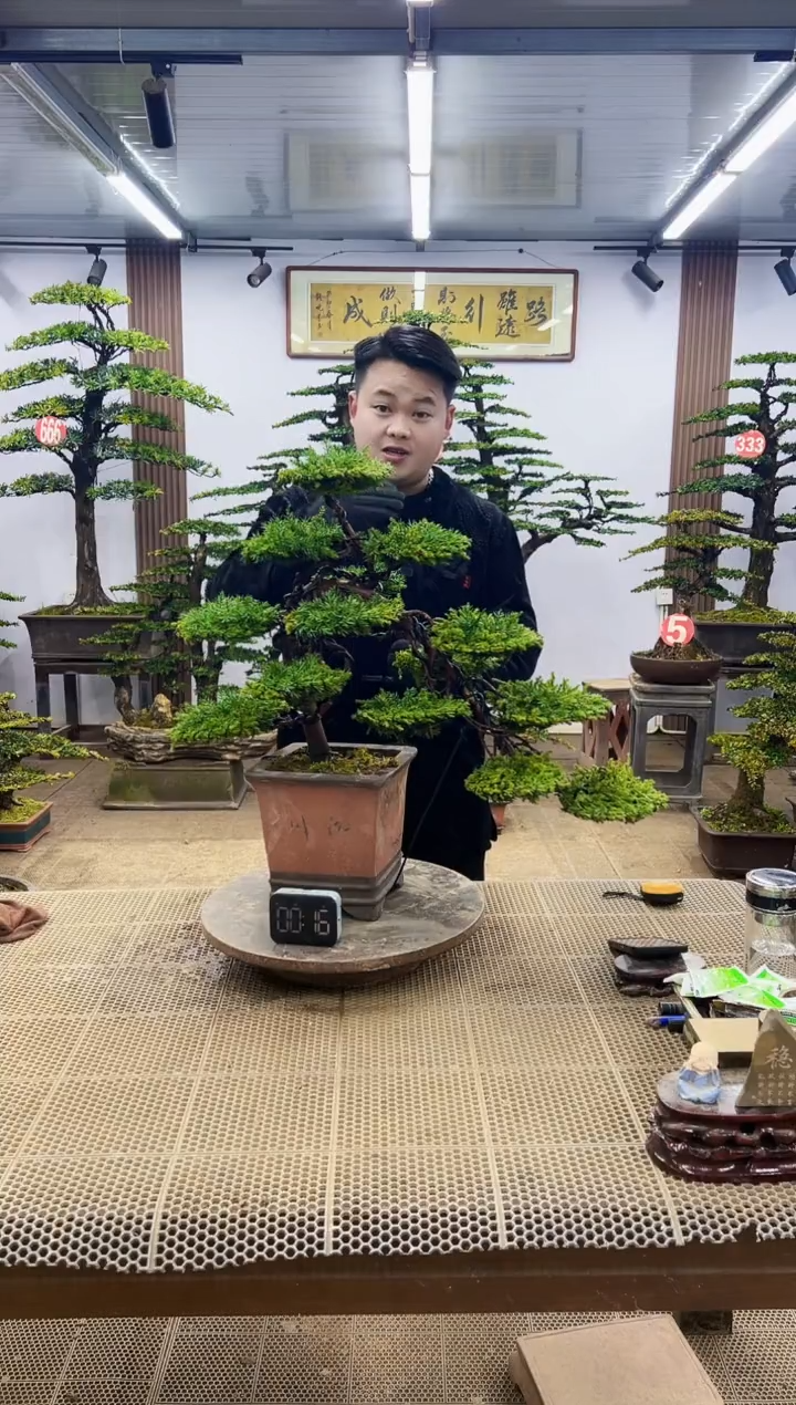 【闪购商品】0000000