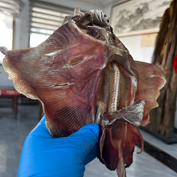 田横淡干老板鱼干 孔鳐鱼魔鬼鱼干 海鲜干货