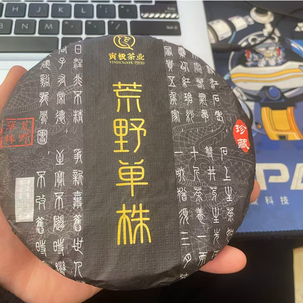 12-11【精品区A20】“普洱茶”2023年冰岛巨型大单株（荒野单株）生茶饼