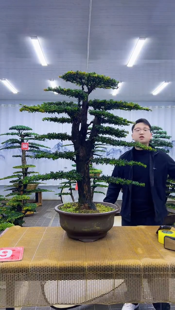 无花朵嘉****市0000000000000000