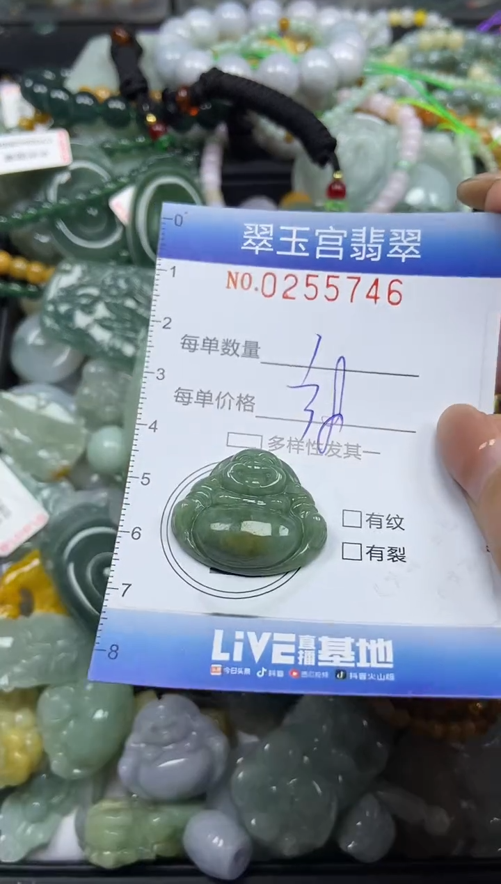 颈饰未镶嵌翡翠闪购C0255746