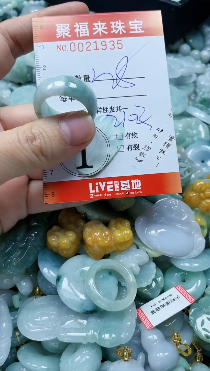 【闪购商品】翡翠颈饰未镶嵌闪购0021935