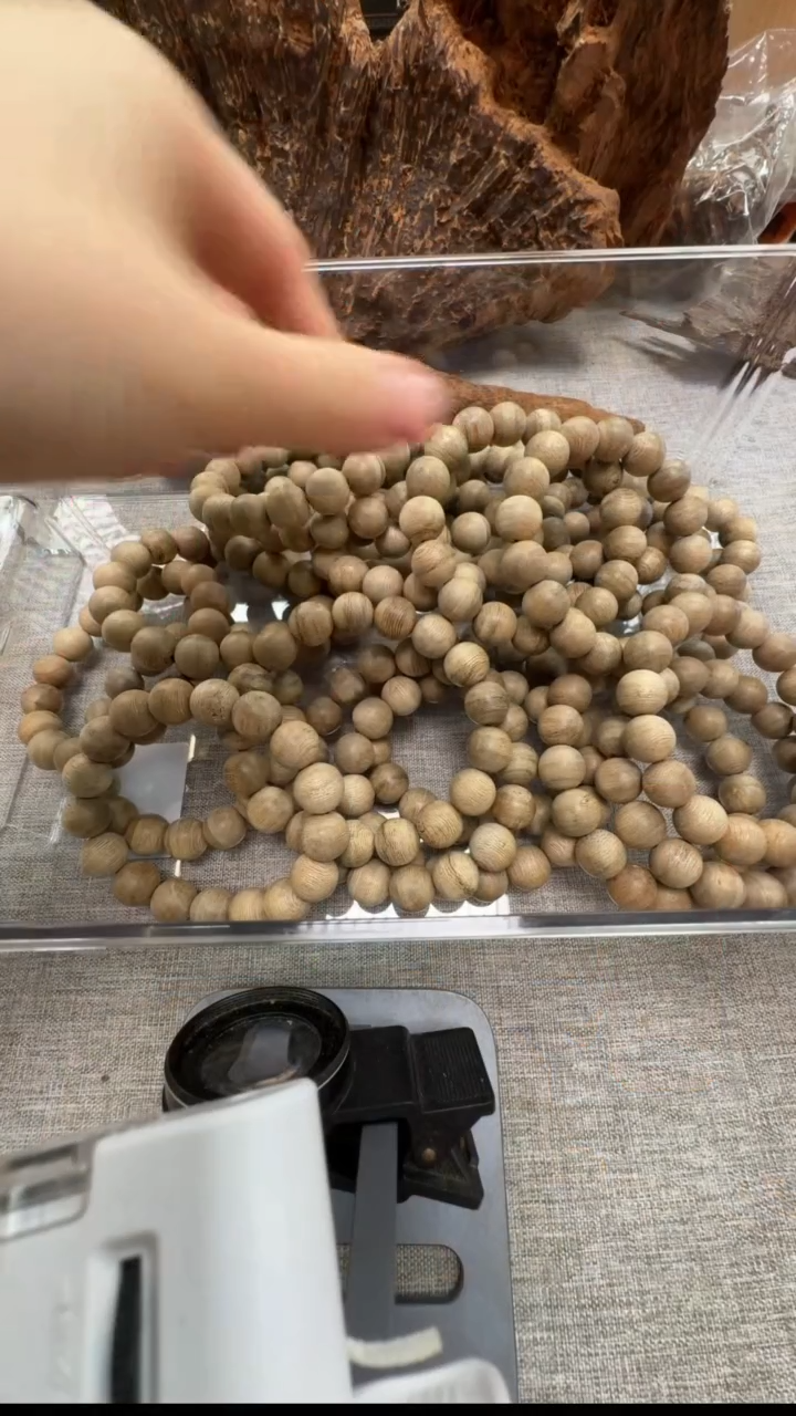 【闪购商品】马来西亚西部熟结软丝12mm+