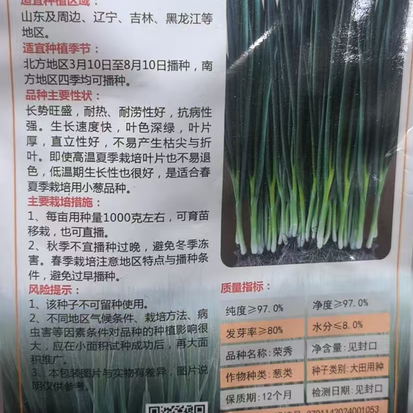 荣秀小香葱种子商品性好