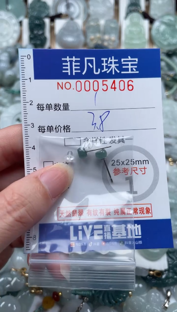 翡翠未镶嵌颈饰00..5406