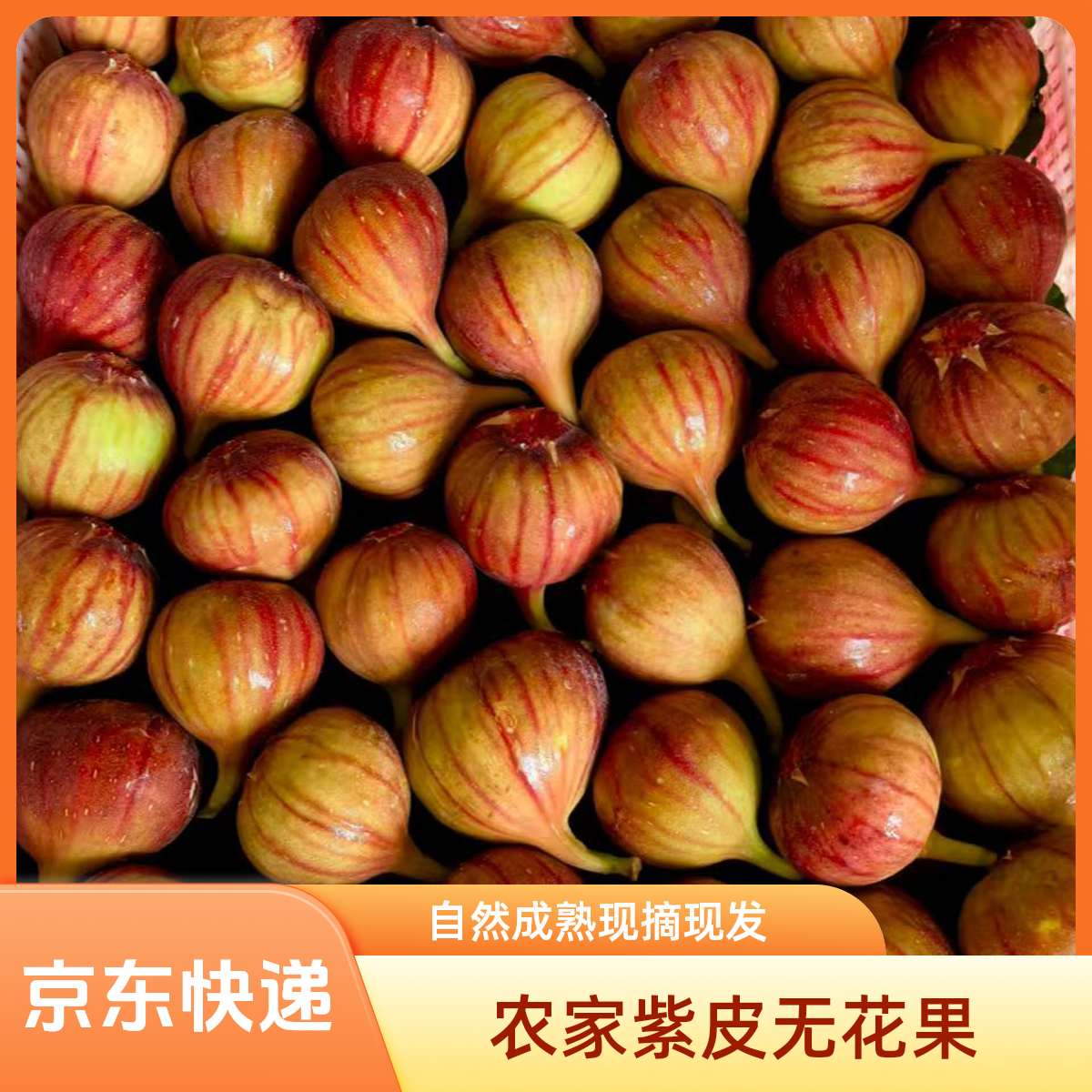 【川渝地区】农村紫皮无花果 非大棚 自然成熟 现摘现发 京东快递