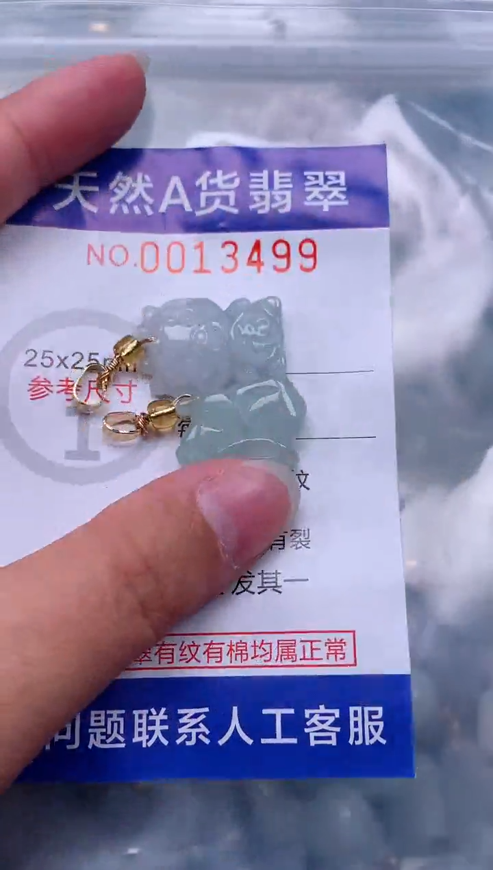 翡翠未镶嵌吊坠(赠链)1