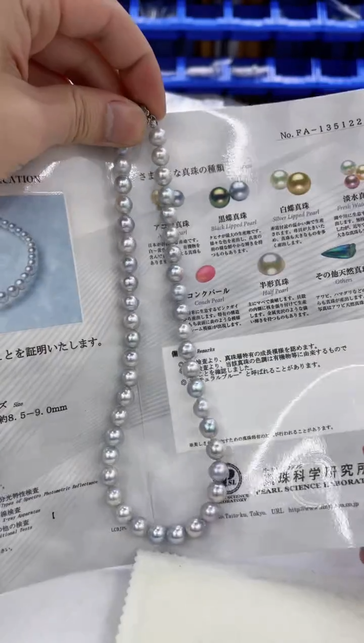 颈饰未镶嵌海水珍珠  