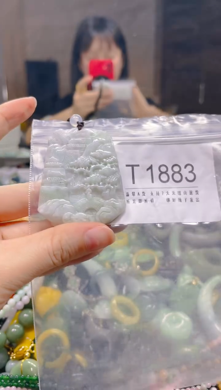 翡翠未镶嵌颈饰/T/翡翠A货一图一物
