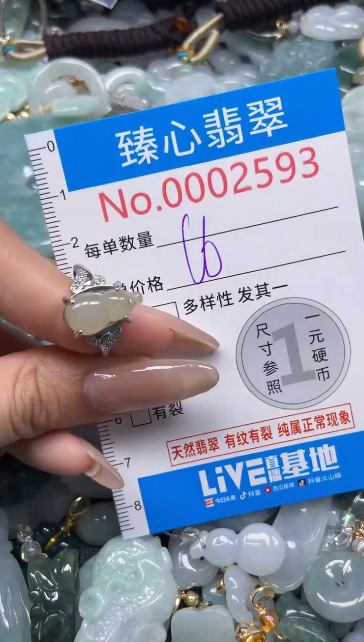 颈饰未镶嵌翡翠2593