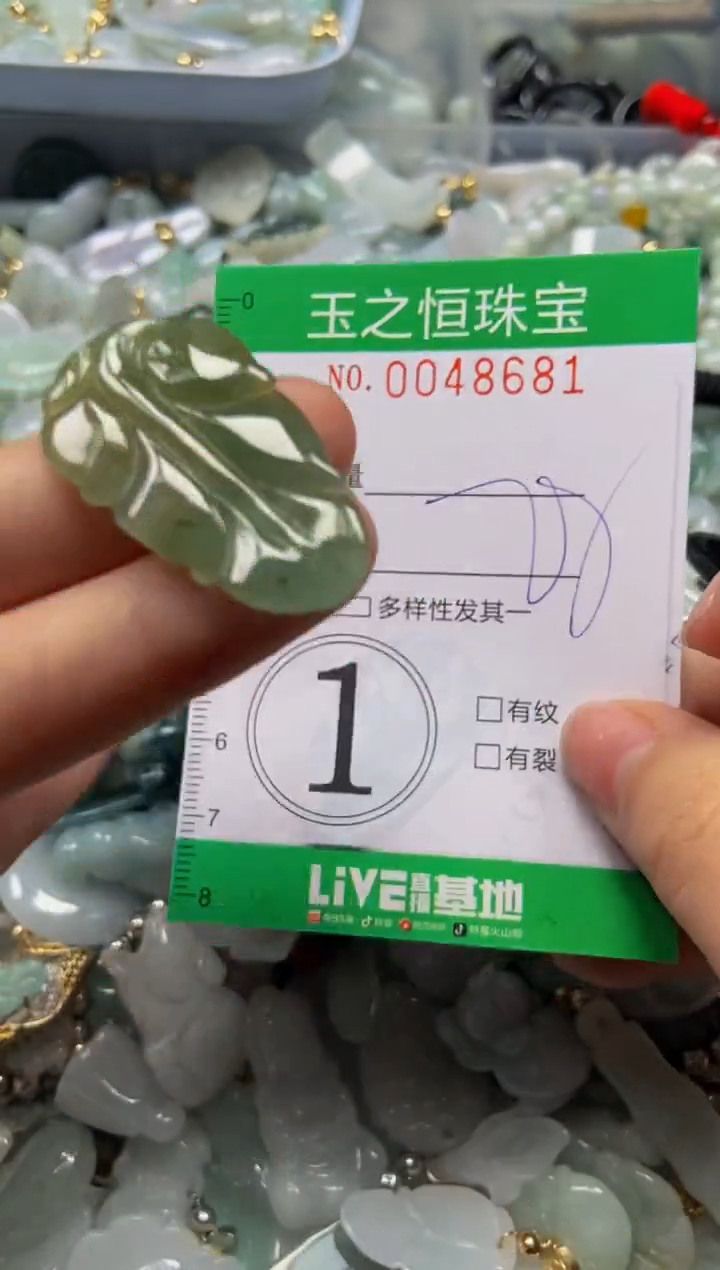 【闪购商品】翡翠颈饰未镶嵌闪购0048681