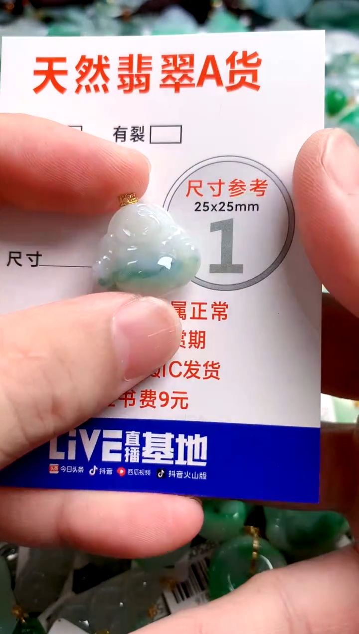 翡翠18K金镶嵌颈饰24000195