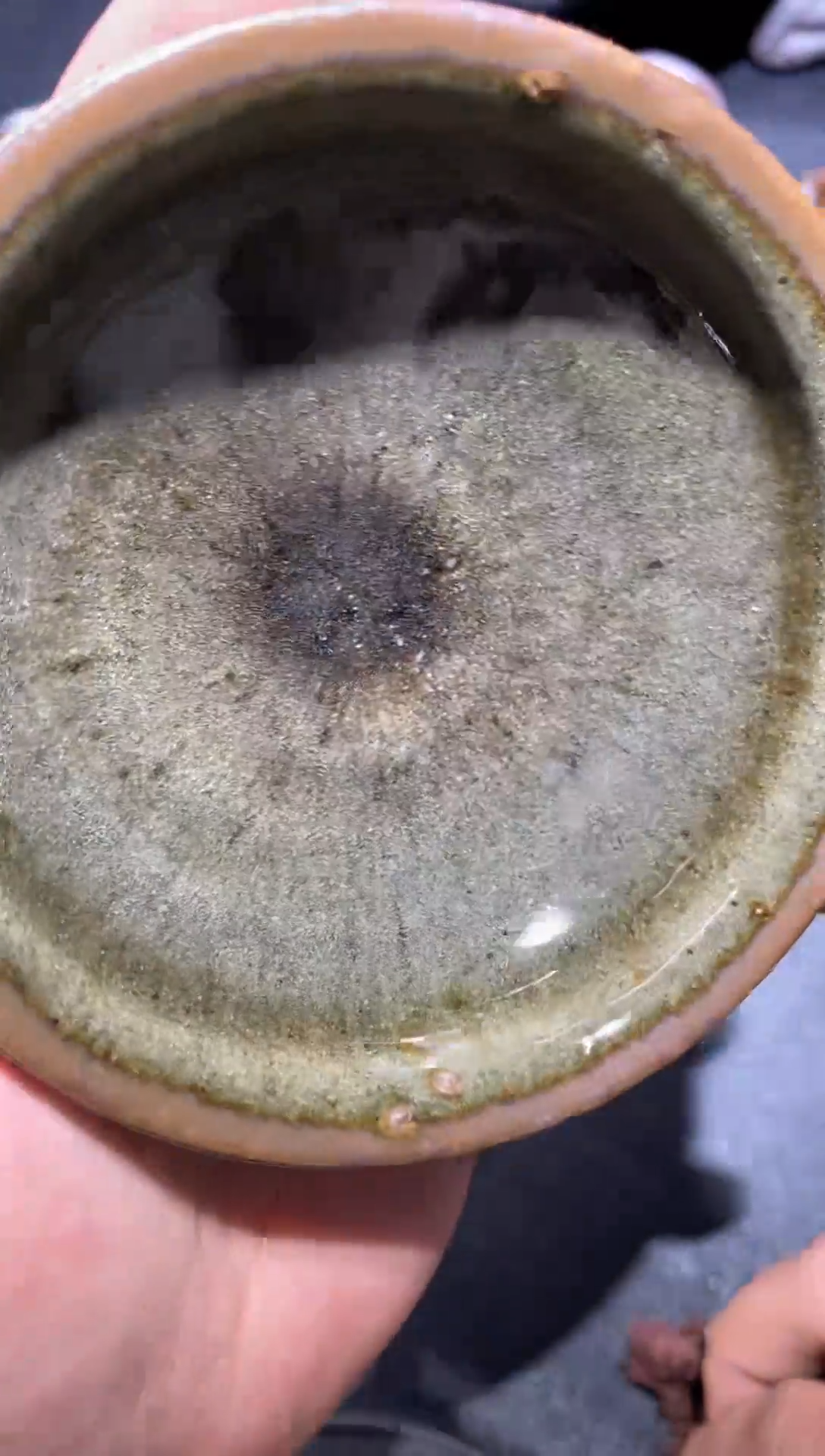 茶盏           12