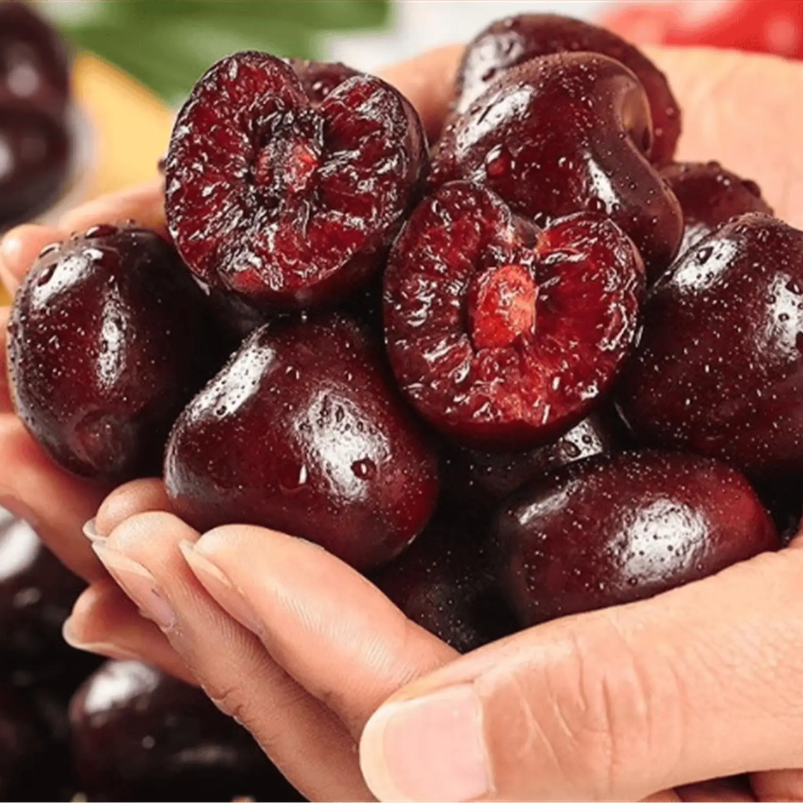 车厘子JJJD规格XL肉大籽鲜果海运硬脆净重500g-2500g一盒装和整件装桑提娜智利