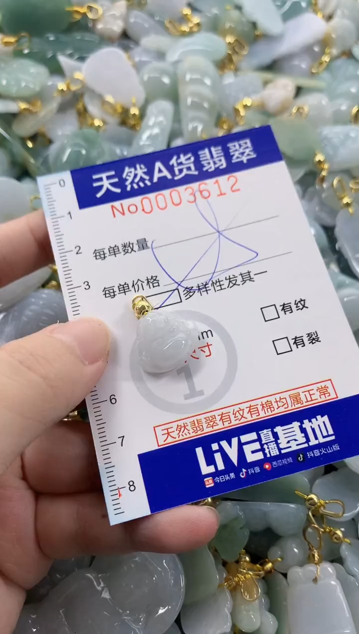 颈饰未镶嵌翡翠天然A货翡翠