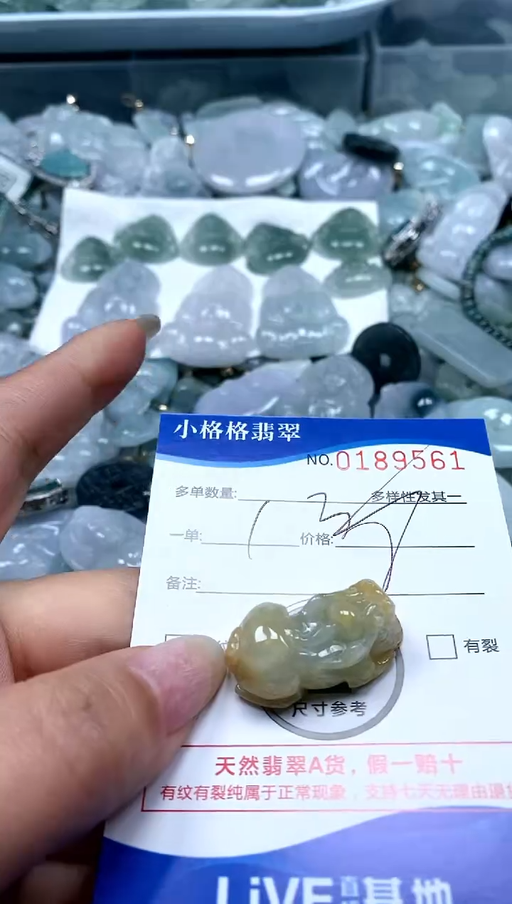 【闪购商品】翡翠颈饰未镶嵌闪购商品0189561