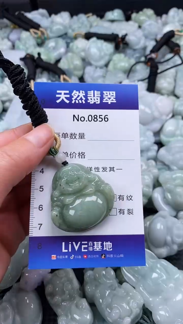 【闪购商品】翡翠颈饰未镶嵌缅甸A货翡翠0856