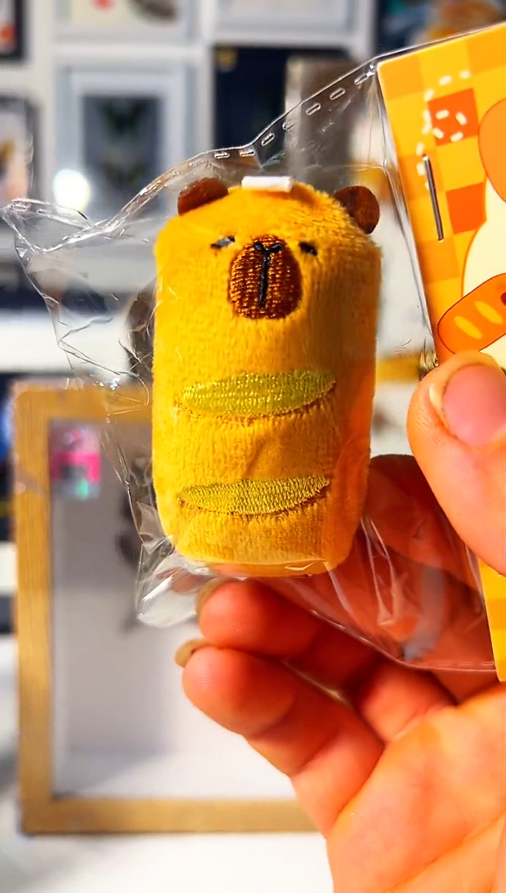 有机玻璃567576576576