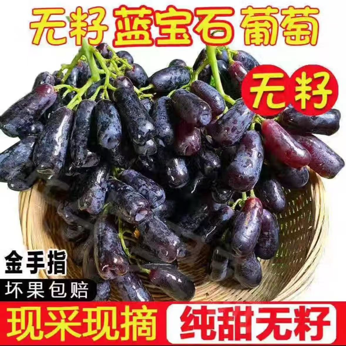 果蓝宝石无籽美人指葡萄黑提水果黑美人指水果带箱一斤  净重250g云南省
