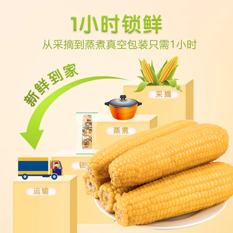 内蒙杨府良田糯玉米