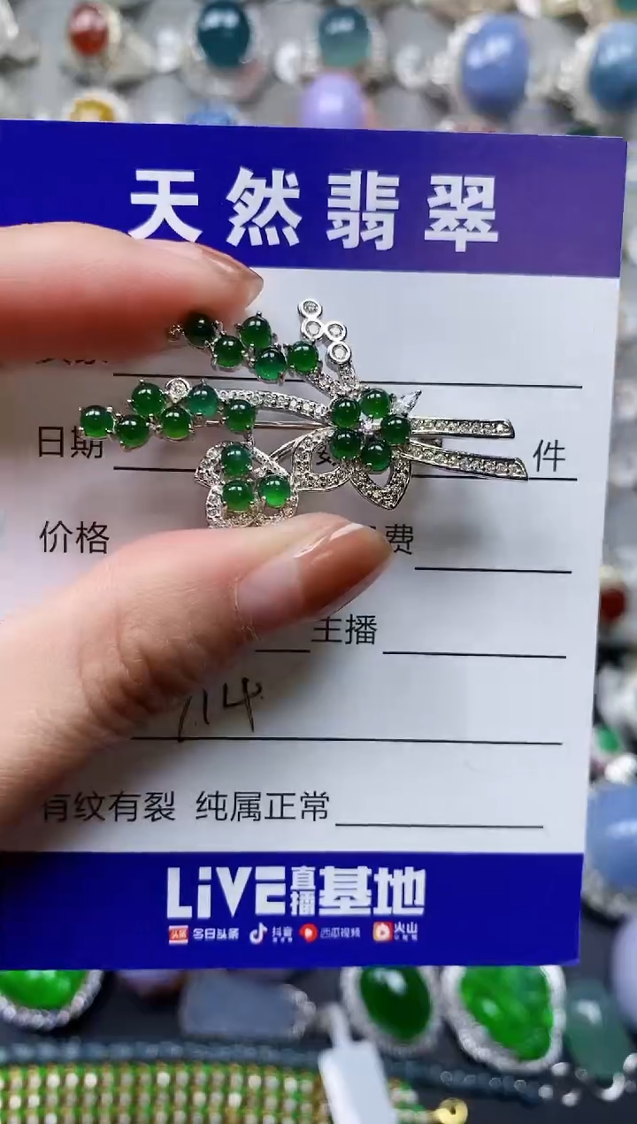 【闪购商品】翡翠颈饰银S925镶嵌0714