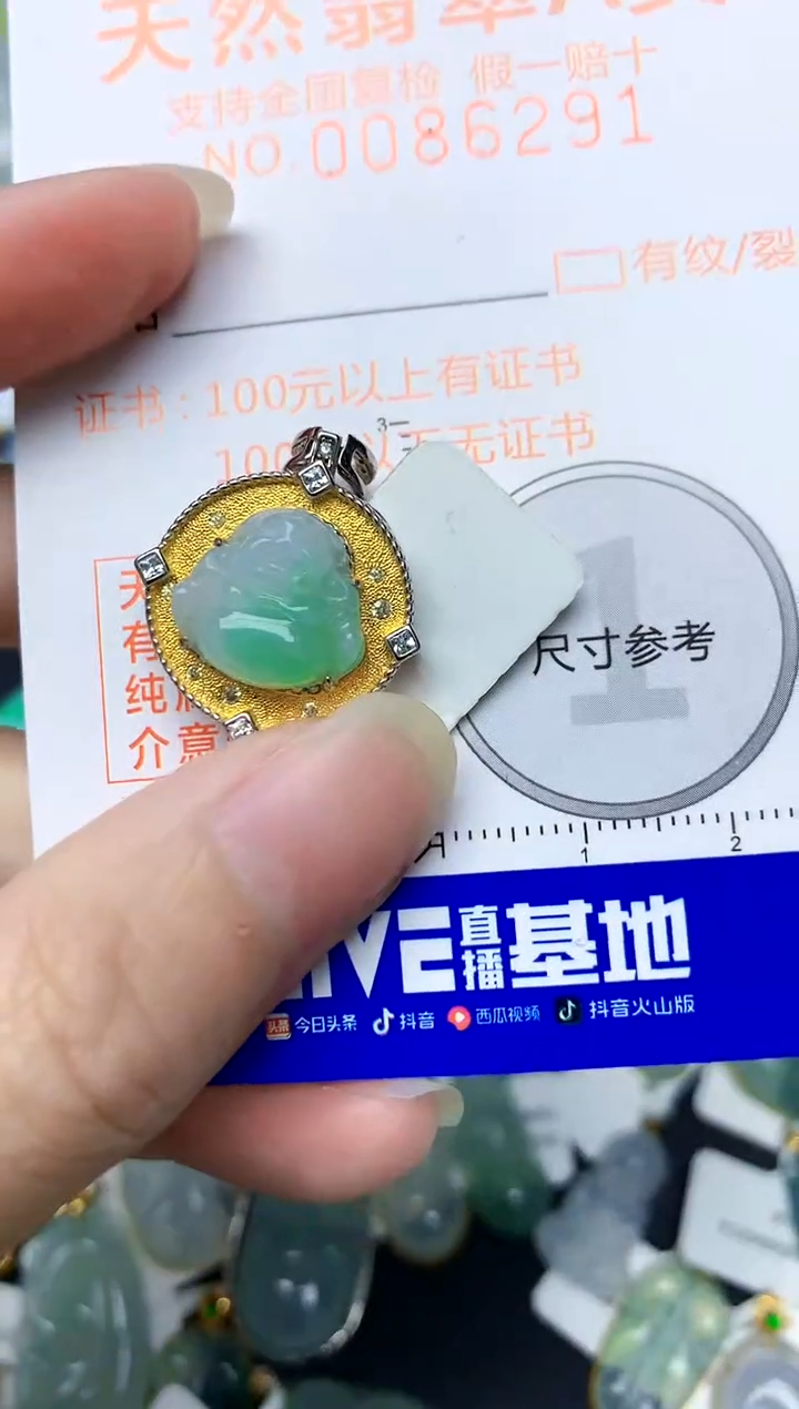 颈饰银S925镶嵌翡翠天然A货翡翠