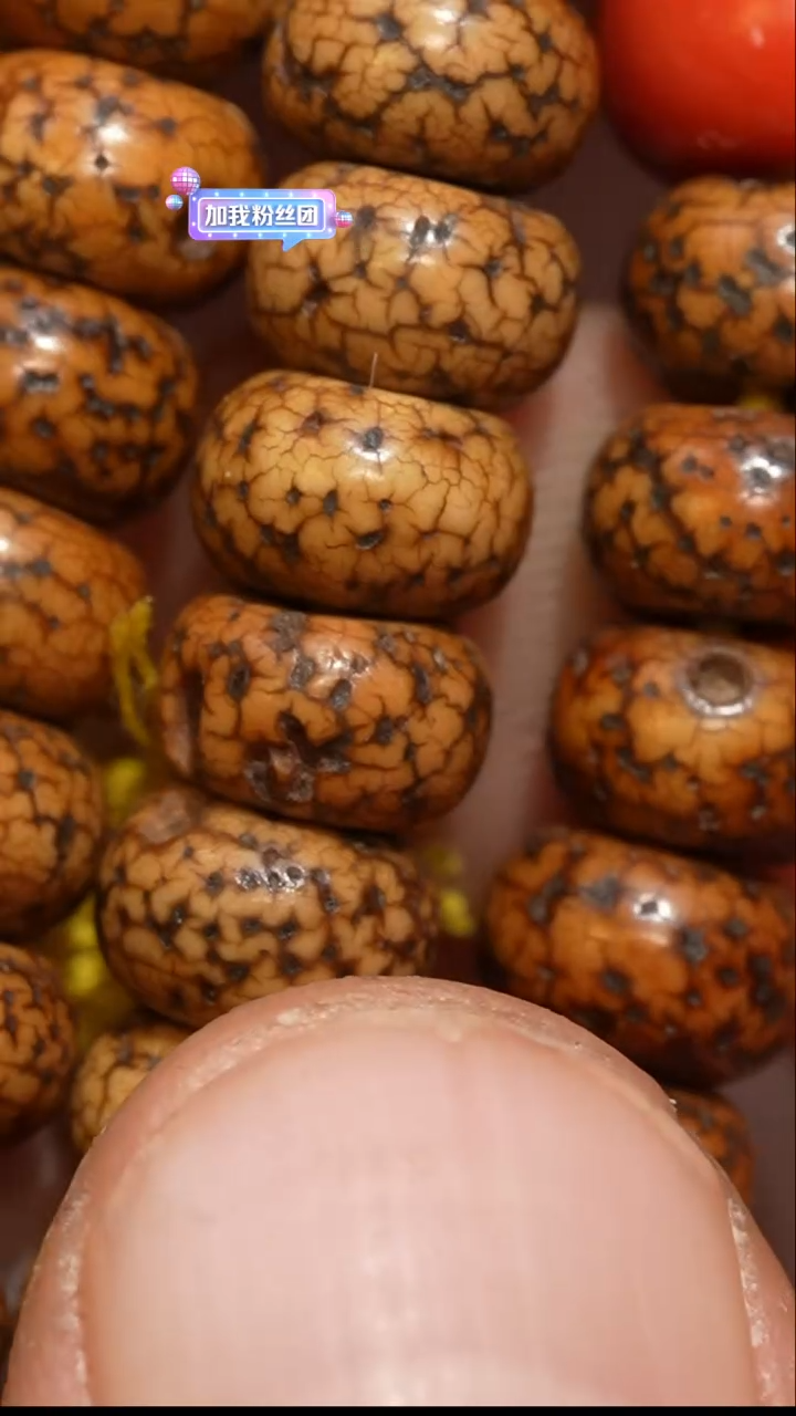 【闪购商品】冲赛康胡子哥，藏传念珠64