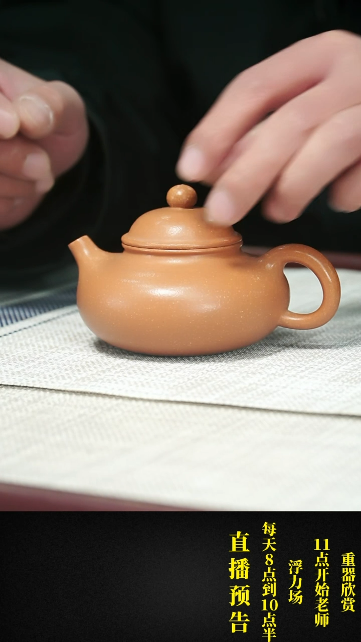 【闪购商品】紫砂茶壶紫砂 茶壶12