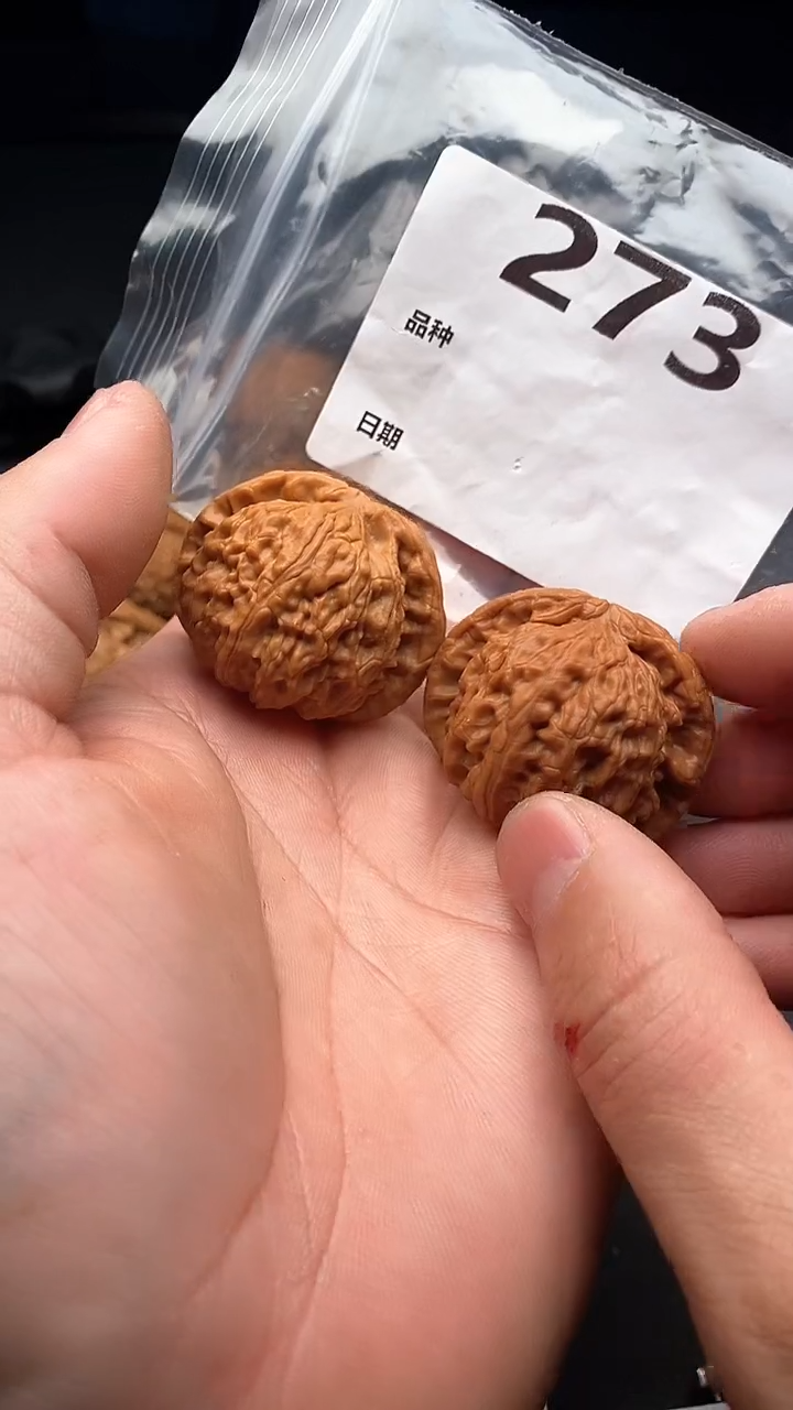 【闪购商品】文玩核桃吊坠273号41尺寸全品闷白