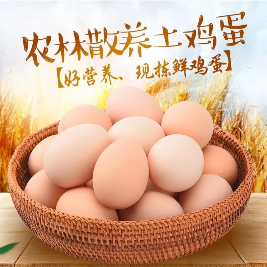 【欢欢】60枚 农村散养土鸡蛋 粉壳鸡蛋 破损包赔