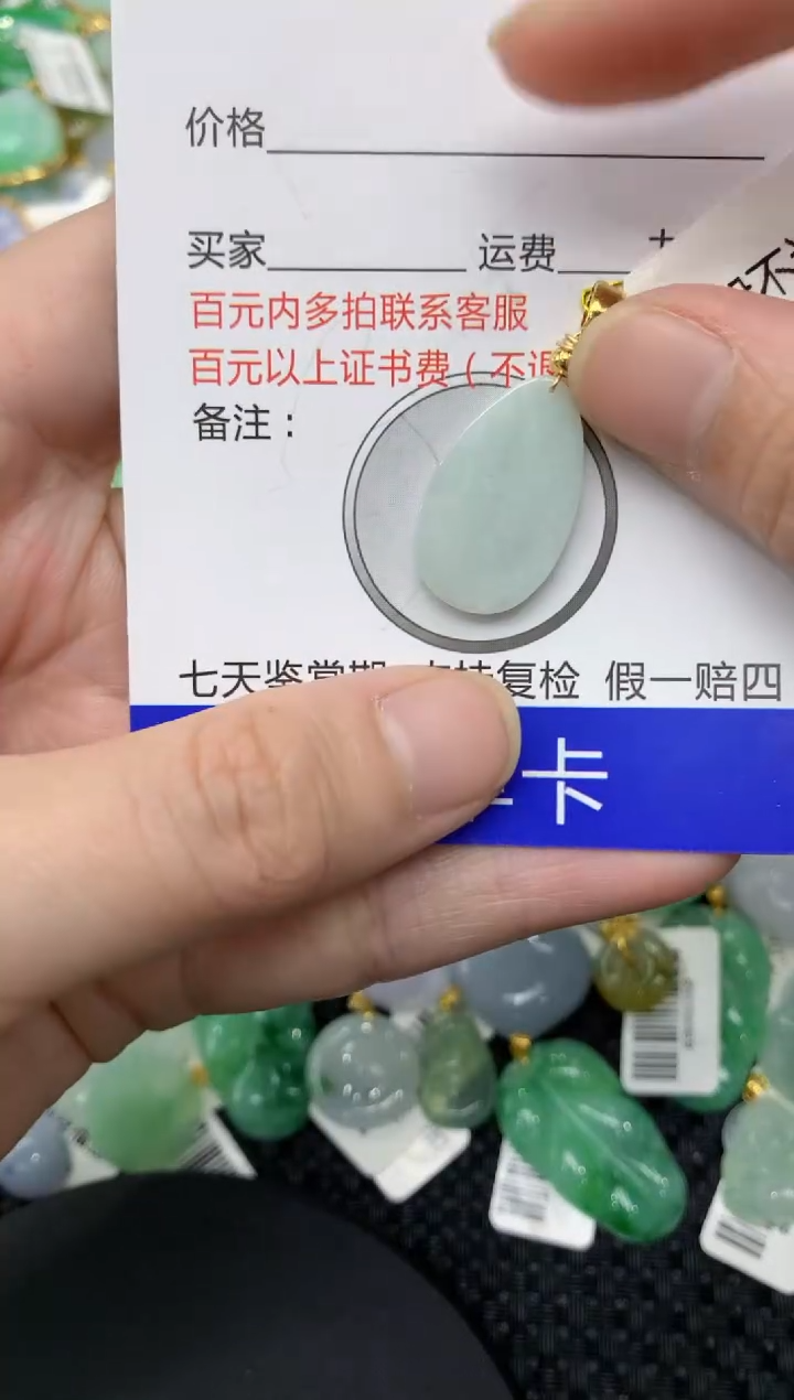 【闪购商品】翡翠颈饰合金111111111111