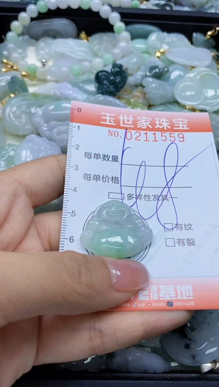 【闪购商品】翡翠颈饰未镶嵌闪购0211559