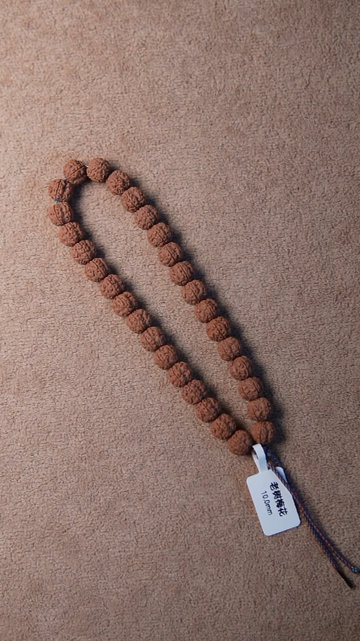 手串金刚菩提骑*.老树梅花