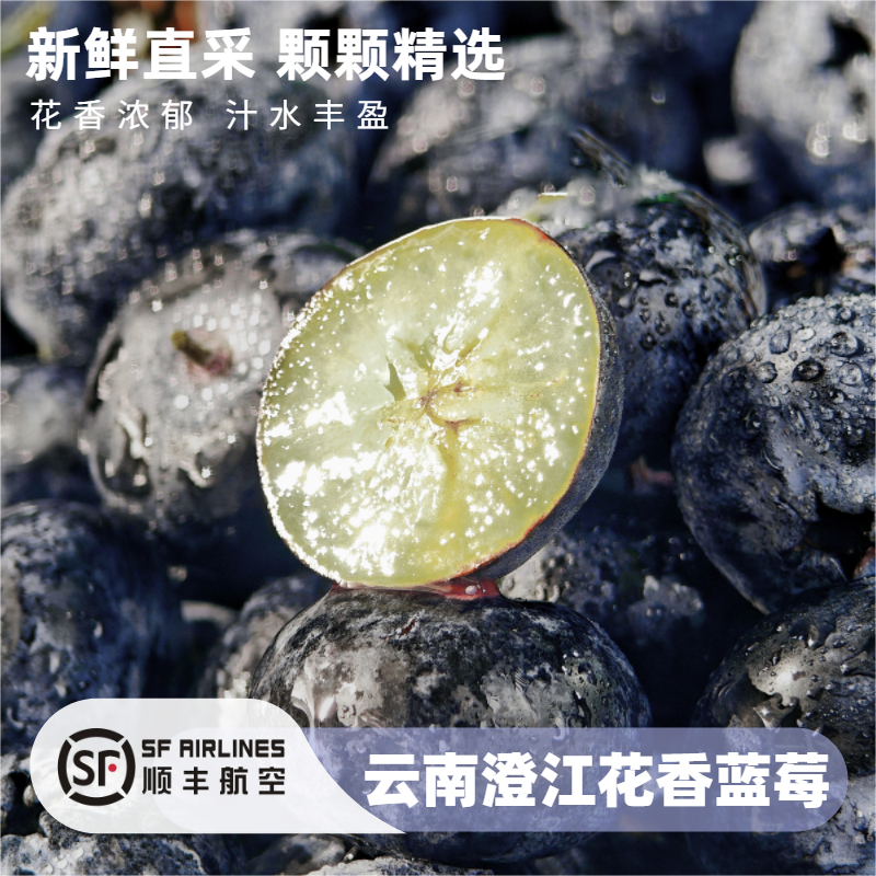 【真·25花香】顺丰空运云南澄江新鲜应季花香蓝莓脆甜多汁花香浓郁