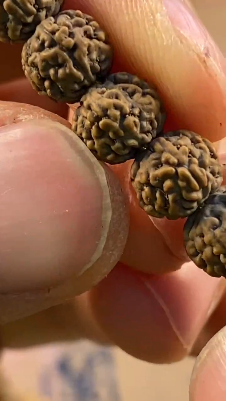 【闪购商品】金刚菩提手串定制级灰皮一代龙尺寸6-9