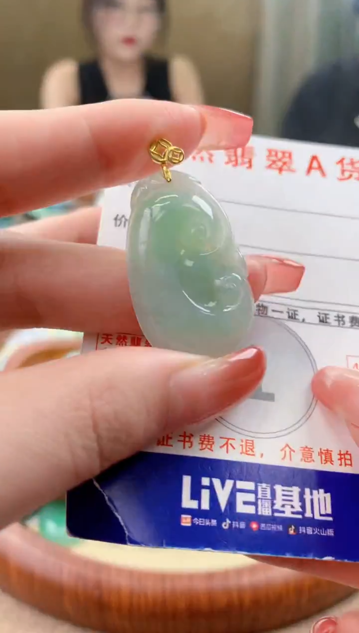 颈饰未镶嵌翡翠 天然A货翡翠挂件