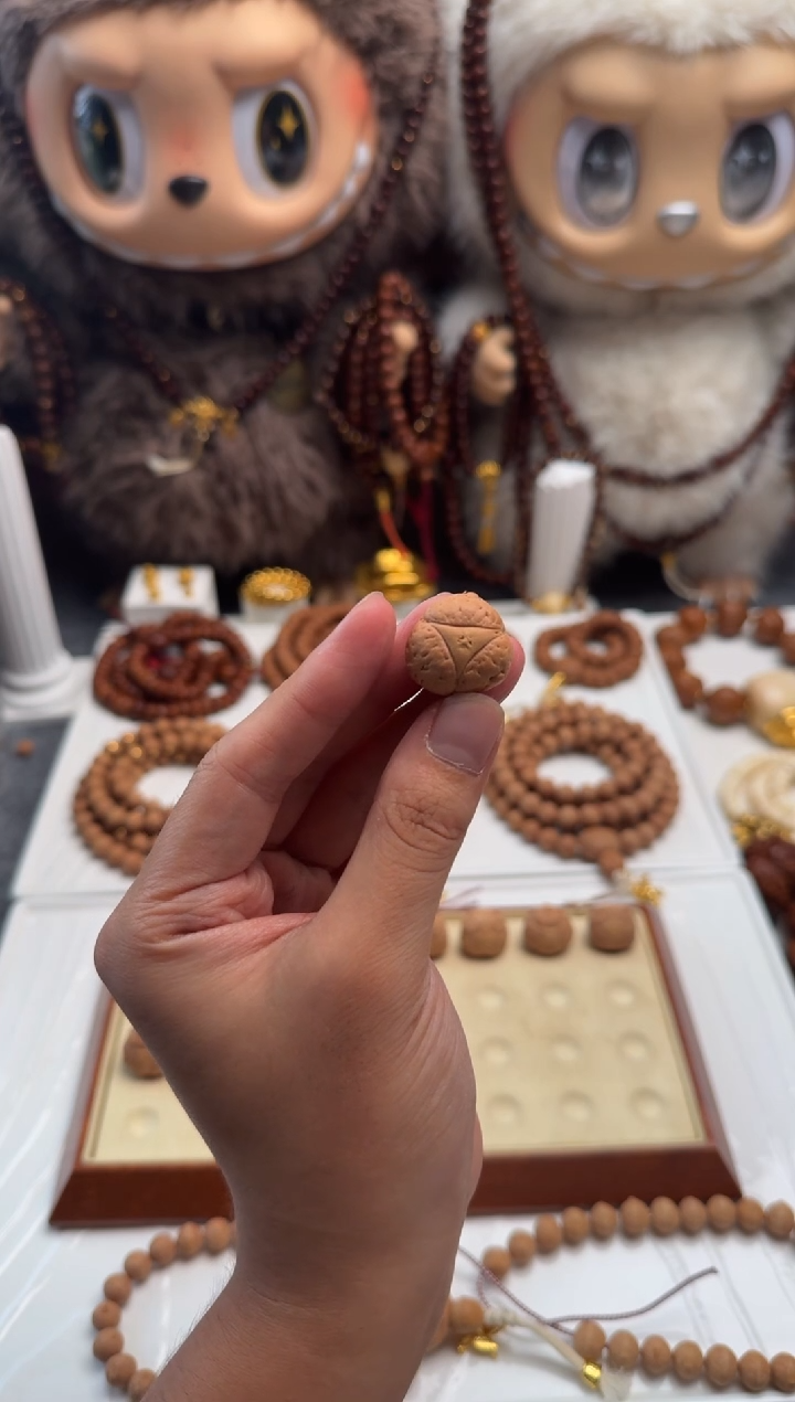 手串凤眼菩提龙眼