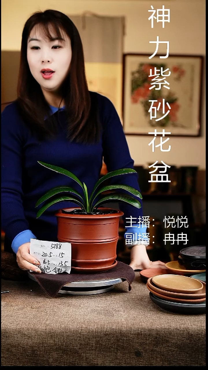 紫砂花盆5188+z花卉工艺