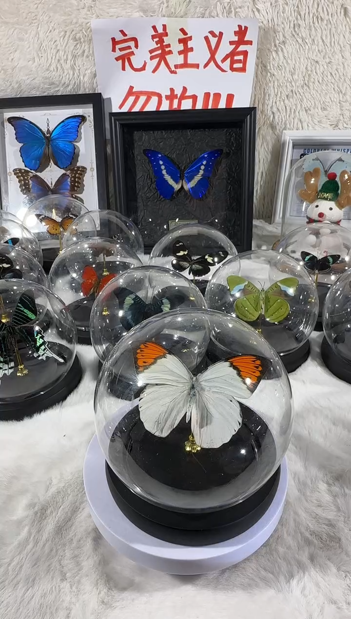 鹤顶粉蝶水晶球    