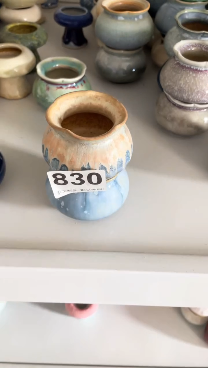 瓷片我***看830知木小芳花盆