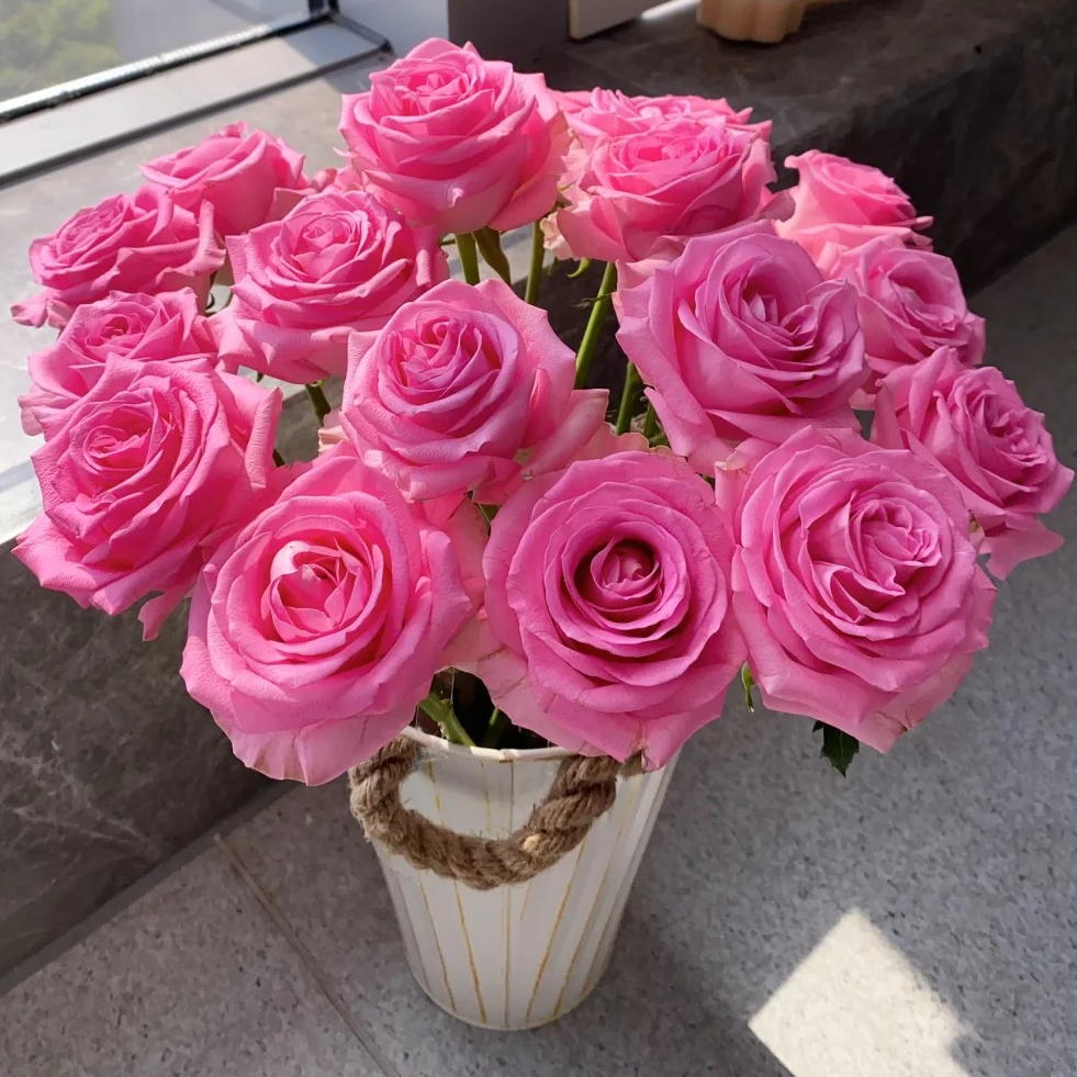 【源头优选老六】苏醒单头玫瑰/元旦预热-任意两单鲜花升级快递