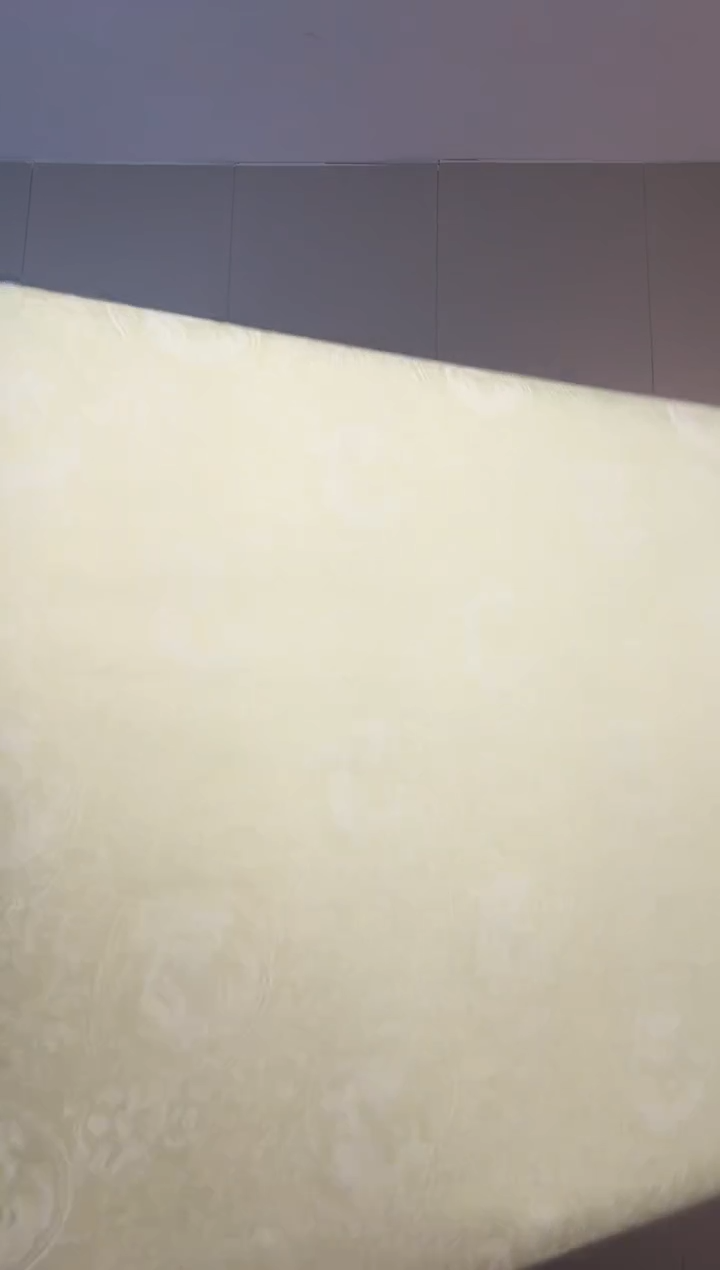 28年庆  水印麒麟图  1卷 5张  