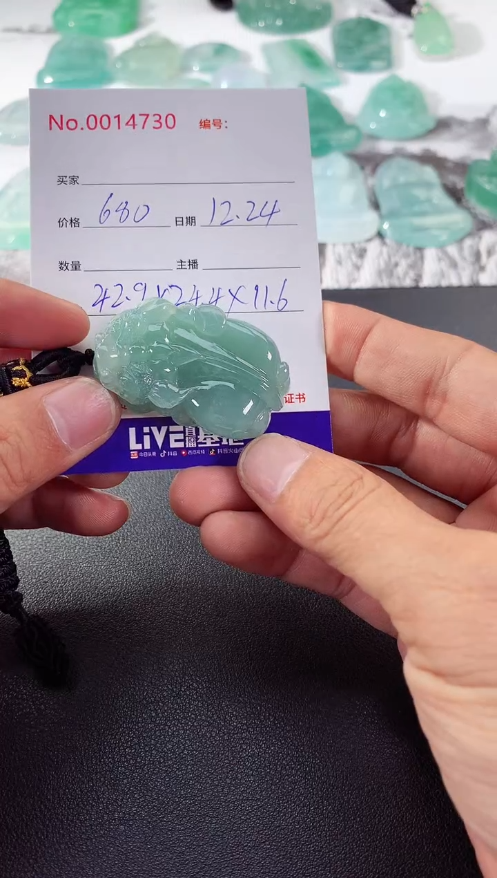 颈饰未镶嵌翡翠貔貅