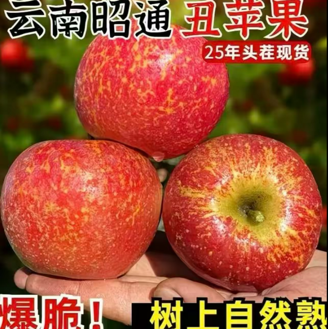 云南丑苹果高原冰糖心脆甜多汁新鲜水果包邮现摘现发